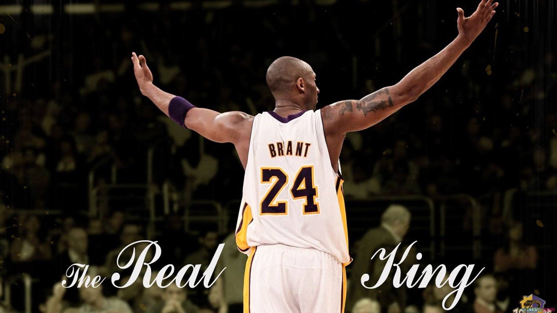 亚洲电竞崛起，跨越文化的激烈竞技激发无限潜能，亚洲电竞总代ban机